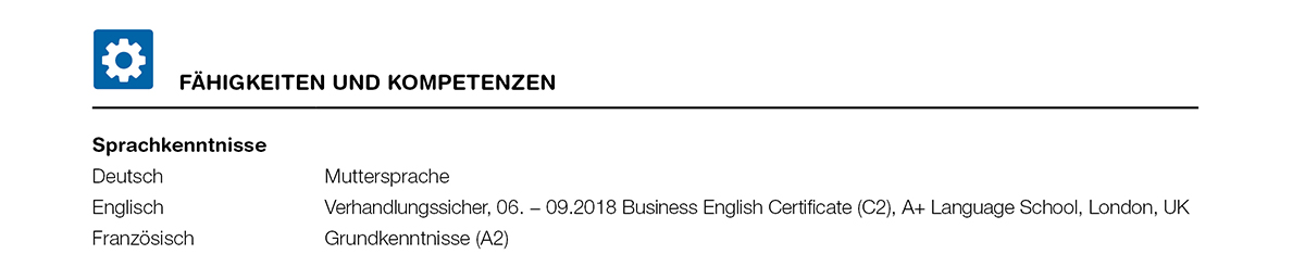 Cv 1Spalten De Rubrikfaehigkeitenkompetenzen Sprache
