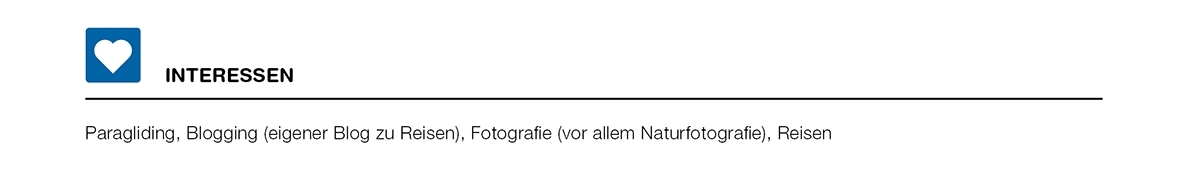 Cv 1Spalten De Positioninteressen
